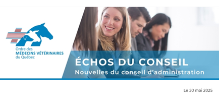 echos conseil echos conseil